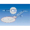 Eppendorf TransferTip (ES) for ES Cell Transfer, set of 25